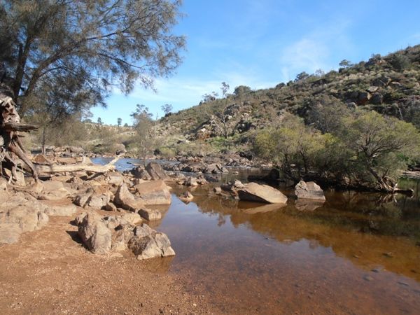 walyunga-national-park